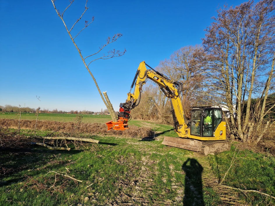 Bomen knotten